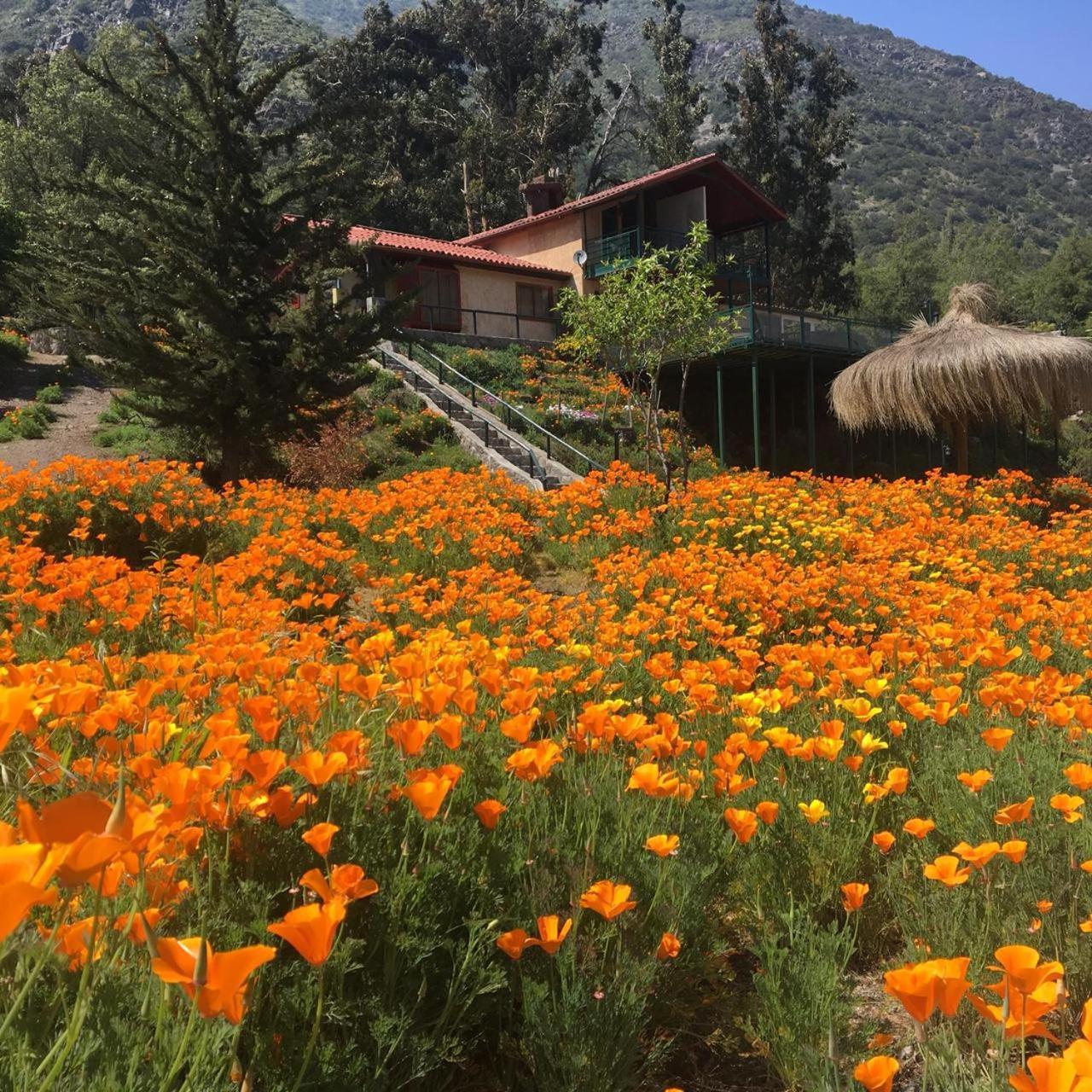 Miramonte B&B (Adults Only) Гуайякан Экстерьер фото